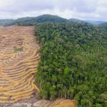 Buku, Lingkungan, dan Masa Depan Pendidikan Digital di Indonesia
